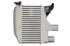 DA2003TT Інтеркулер THERMOTEC підбір по vin на Brocar