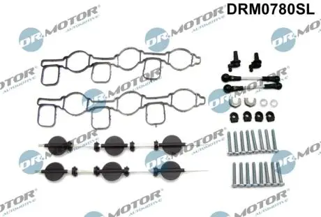 DRM0780SL Комплект прокладок з різних матеріалів DR.MOTOR підбір по vin на Brocar