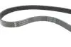529033510 Комплект ременя генератора Citroen Berlingo/Jumpy/Peugeot Expert/Partner 1.6 HDi 08- INA підбір по vin на Brocar