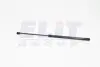 GS0350 Амортизатор багажника газів. MITSUBISHI CARISMA 1,6-2,0 -06. MAGNETI MARELLI підбір по vin на Brocar