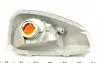 RWS1236 Повторитель поворота на зеркало Renault Master 10- (R) (261603141R) ROTWEISS підбір по vin на Brocar