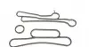 RWS1805 Прокладка радиатора масляного Ford Transit 2.2-2.4TDCi 06- (к-кт) ROTWEISS підбір по vin на Brocar