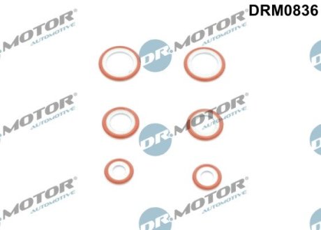 DRM0836 Кольцо резиновое DR.MOTOR подбор по vin на Brocar