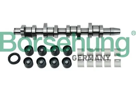 B18664 Розподільний вал VW 1.9TDI 03- (к-кт) (OE VAG) BORSEHUNG підбір по vin на Brocar