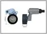 Натяжник паска приводного Peugeot/Citroen 1,8.1,9D 91-> 100399SP