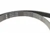 529029210 Комплект ременя генератора Citroen Jumpy/Peugeot Expert 2.0D 16- (6PK 1230) INA підбір по vin на Brocar