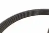529029210 Комплект ременя генератора Citroen Jumpy/Peugeot Expert 2.0D 16- (6PK 1230) INA підбір по vin на Brocar