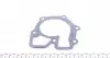CS15513 Прокладка помпи води Ford Transit 2.5 TDI 86-00 DP підбір по vin на Brocar