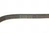FB4PK895 PASEK WIELOROWK. 4PK895 INA підбір по vin на Brocar