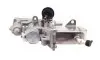 48207 Радіатор рециркуляції ВГ з клапаном EGR Renault Megane III/Scenic III 1.9dCi 08- NRF підбір по vin на Brocar