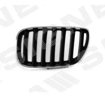 PBM07031GAL РЕШЕТКА РАДИАТОРА BMW X5 (E53), 04 - 06 SIGNEDA подбор по vin на Brocar