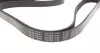 AD06R1700 Ремень генератора Citroen Berlingo 1.6 08-/ Hyundai Coupe/ Santa Fe/ Sonata/ Trajet 2.5-2.7 98-12 BLUE PRINT підбір по vin на Brocar