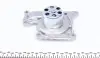 KP10912 Комплект ГРМ + помпа Renault Kangoo/Nissan Qashqai/Juke 1.5dCi 10-/Megane/Scenic 16-(119х27)(PA1091) GRAF підбір по vin на Brocar