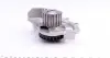 KP11101 Комплект ГРМ + помпа Citroen/Peugeot 2.0 HDi/Ford 2.0TDCi/Fiat Scudo 2.0D 10- (116x25.4) (PA1110) GRAF підбір по vin на Brocar