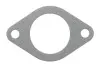 Прокладка труби вихлопної Citroen Berlingo/Jumper/Fiat Ducato 1.9D 96-06 226.506