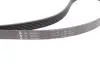 529011521 Комплект ременя генератора MB Sprinter/Vito 2.2-2.7 CDI 00-06 (6PK2260) INA підбір по vin на Brocar
