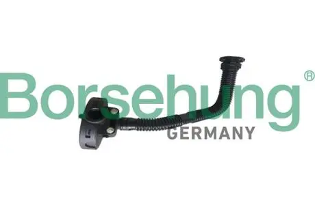 B19055 Клапан вентиляції картера Skoda Fabia/Roomster 1.6 06- BORSEHUNG підбір по vin на Brocar