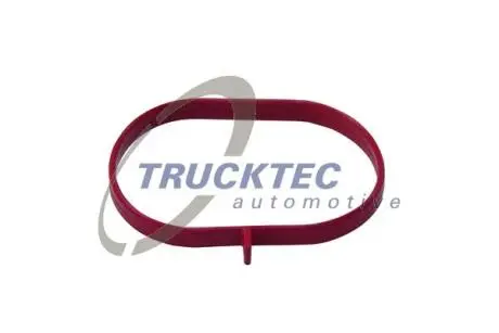 0216067 Прокладка колектора впускного MB Sprinter (906) 316/516i 08- TRUCKTEC підбір по vin на Brocar