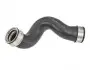 Патрубок интеркулера VW T5 1.9TDI 03- 1000360076