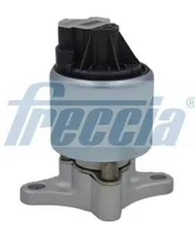EGR12109 Клапан рециркуляции газов FRECCIA підбір по vin на Brocar