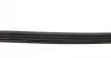 AD04R800 Ремень генератора Honda Civic VI/ Nissan Primera 1.4-1.6 94-01/ Lexus GS 3.5 12-/ Toyota IQ 1.3 09- BLUE PRINT підбір по vin на Brocar
