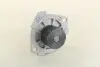 352316170295 Водяной насос (пр-во Magneti Marelli кор.код. WPQ0295) MAGNETI MARELLI підбір по vin на Brocar