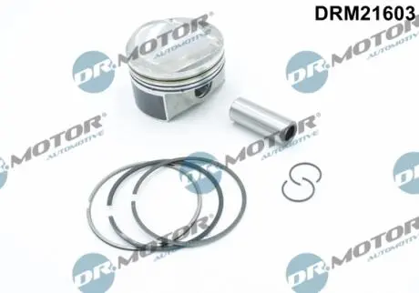 DRM21603 Поршень DR.MOTOR підбір по vin на Brocar