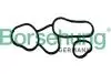 Прокладка радіатора оливного VW Passat/Golf/Touran 2.0 FSI 03-10 B10621