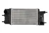 ЯNTERCOOLER NISSAN JUKE 1.5D 10- 30986