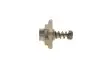 F01M101781 Елемент насосу Common Rail BOSCH підбір по vin на Brocar