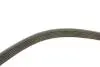 529029110 Комплект ремня генератора Citroen Jumpy/Peugeot Expert 2.0 HDi 09- (6PK1245) INA підбір по vin на Brocar