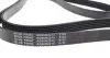 AD06R2215 Ремінь генератора VW T4 2.5TDI ACV (ALT,PS,AC) (6PK2215) BLUE PRINT підбір по vin на Brocar