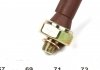 0742037 Датчик давления масла VW Crafter/T4 2.5TDI (0.55-0.85 bar) (коричневый) TRUCKTEC підбір по vin на Brocar