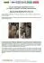 PA1360A8 Помпа воды Audi/Seat/Skoda/VW Crafter/Caddy/T6/Passat/Golf 1.6/2.0TDI 13- (R/B 4PT)(7 лоп)(с датч) GRAF підбір по vin на Brocar