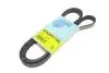AD05R1750 Ремень генератора Renault Kangoo 1.4-1.6i, 97-/ Hyundai Matrix/ Kia Rio II 1.5 CRDi 04- (5PK1750) BLUE PRINT підбір по vin на Brocar