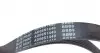 AD06R1440 Ремінь генератора Citroen Berlingo/ Fiat Scudo 1.9D/ Ford Fiesta 1.3 95-03/ Hyundai Accent 1.5 02-05 BLUE PRINT підбір по vin на Brocar