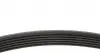 AD06R1460 Ремінь генератора Ford Connect 1.8D/TDCi 02-/ Opel Combo 1.2-1.4i -01/ Honda Accord/ Civic 2.0 96-02 BLUE PRINT підбір по vin на Brocar