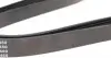 AD06R1460 Ремінь генератора Ford Connect 1.8D/TDCi 02-/ Opel Combo 1.2-1.4i -01/ Honda Accord/ Civic 2.0 96-02 BLUE PRINT підбір по vin на Brocar