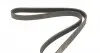 AD05R1000 Ремень генератора Toyota Camry/ Celica/ Rav4 1.8-2.0 83-00 BLUE PRINT підбір по vin на Brocar