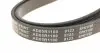AD05R1100 Ремень генератора Citroen Jumper 2.8HDI 00-/Honda Accord 1.9-2.0 93-98/ Toyota Carina 2.0 96-97 BLUE PRINT підбір по vin на Brocar