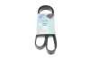 AD06R1180 Ремень генератора Fiat Doblo 1.3D Multijet/ Ducato 2.0JTD 01-/ VW Caddy/ Ford Fiesta 1.25-1.6 95- BLUE PRINT підбір по vin на Brocar