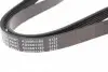 AD06R1180 Ремень генератора Fiat Doblo 1.3D Multijet/ Ducato 2.0JTD 01-/ VW Caddy/ Ford Fiesta 1.25-1.6 95- BLUE PRINT підбір по vin на Brocar