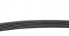 AD06R1200 Ремінь генератора Renault Kangoo 1.5 dCi/ Citroen C5/ C6/ C8/ Xantia/ XM Break 2.0-2.2 92- BLUE PRINT підбір по vin на Brocar