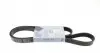 AD06R1400 Ремінь генератора Renault Kangoo 1.9D 98-/ Hyundai i30/ Kia Cee&#039;d 2.0 07-12 BLUE PRINT підбір по vin на Brocar