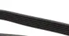 AD06R1400 Ремінь генератора Renault Kangoo 1.9D 98-/ Hyundai i30/ Kia Cee&#039;d 2.0 07-12 BLUE PRINT підбір по vin на Brocar