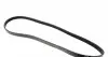 AD04R970 Ремінь генератора BMW 3 (E46)/Kia Rio 00-05/ Mitsubishi Pajero Sport 3.0 98- BLUE PRINT підбір по vin на Brocar