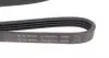 AD04R954 Ремень генератора Mitsubishi Pajero 3.0 V6 90-00/ Chevrolet Matiz 1.0 05-/ Mazda Demio 1.3-1.5 98-03 BLUE PRINT підбір по vin на Brocar