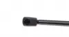 697448 Амортизатор кришки багажника VW T5 03- STABILUS підбір по vin на Brocar