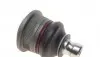 ADN186164 Опора шаровая (передняя/снизу) Nissan Micra III/Note 1.0-1.6 03- BLUE PRINT підбір по vin на Brocar