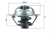 TX16282D TERMOSTAT DACIA NISSAN RENAULT BEHR підбір по vin на Brocar